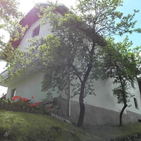 Pr' Hribar Apartment Zgornje Gorje Luaran gambar