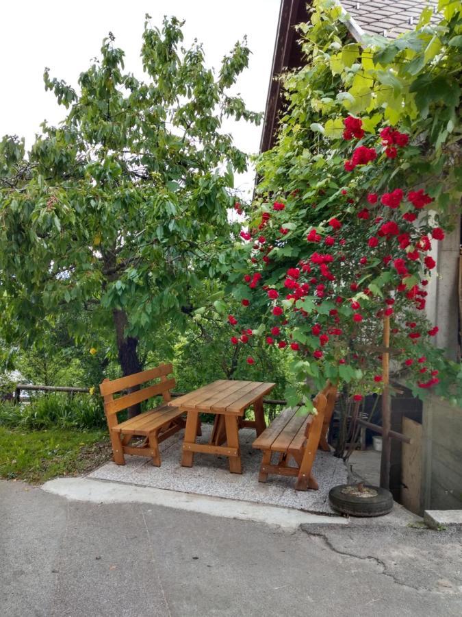 Pr' Hribar Apartment Zgornje Gorje Luaran gambar
