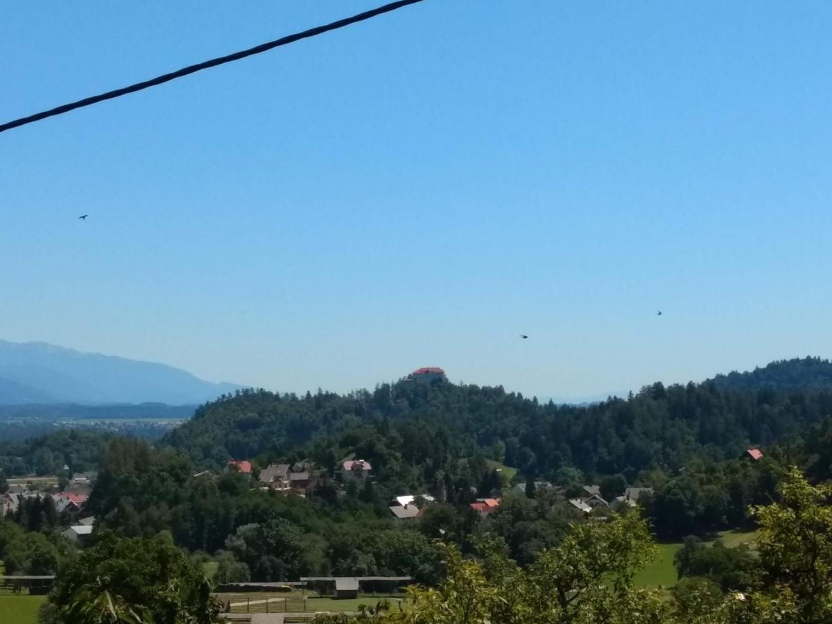 Pr' Hribar Apartment Zgornje Gorje Luaran gambar
