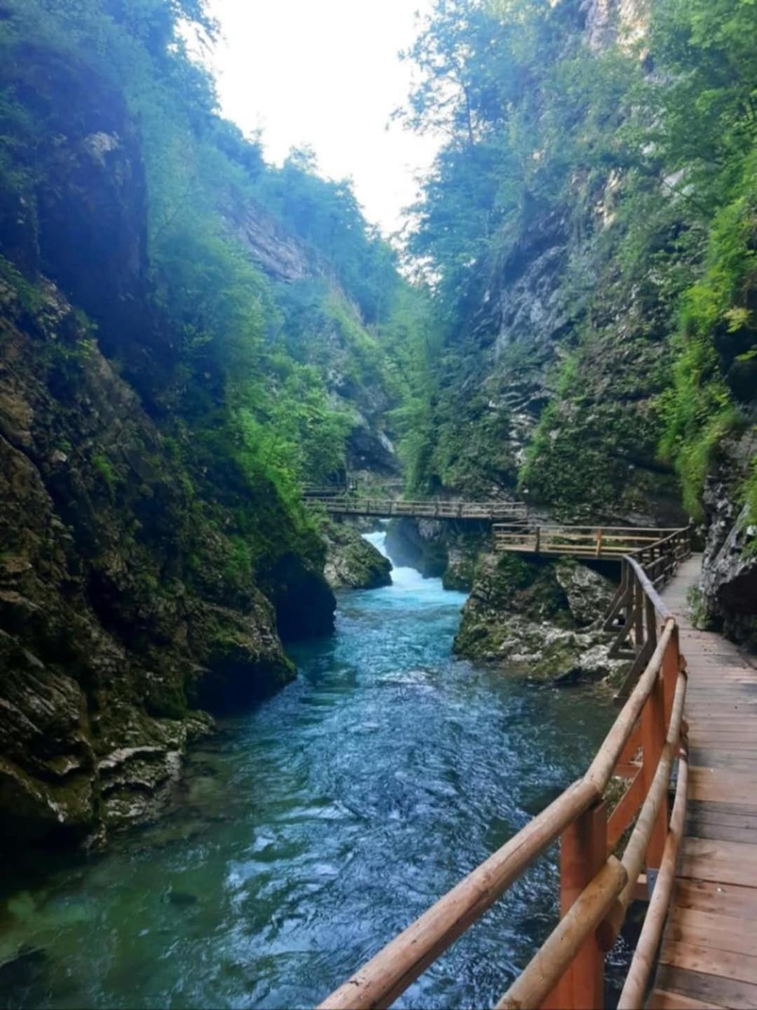 Pr' Hribar Apartment Zgornje Gorje Luaran gambar