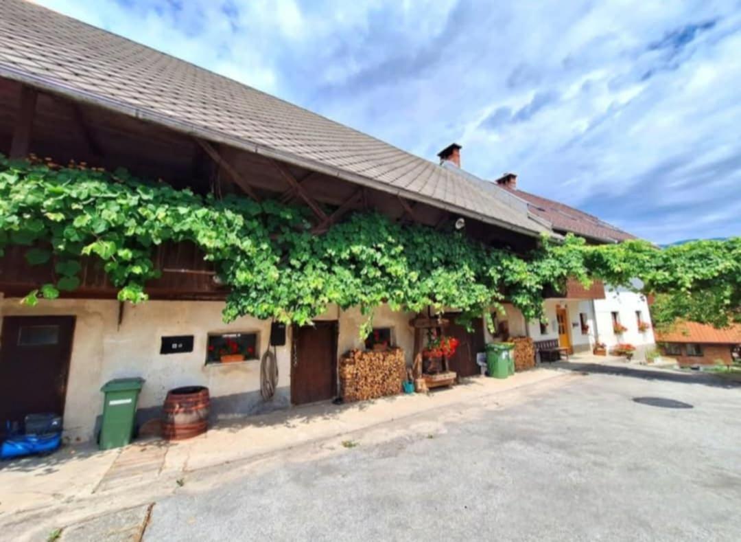 Pr' Hribar Apartment Zgornje Gorje Luaran gambar