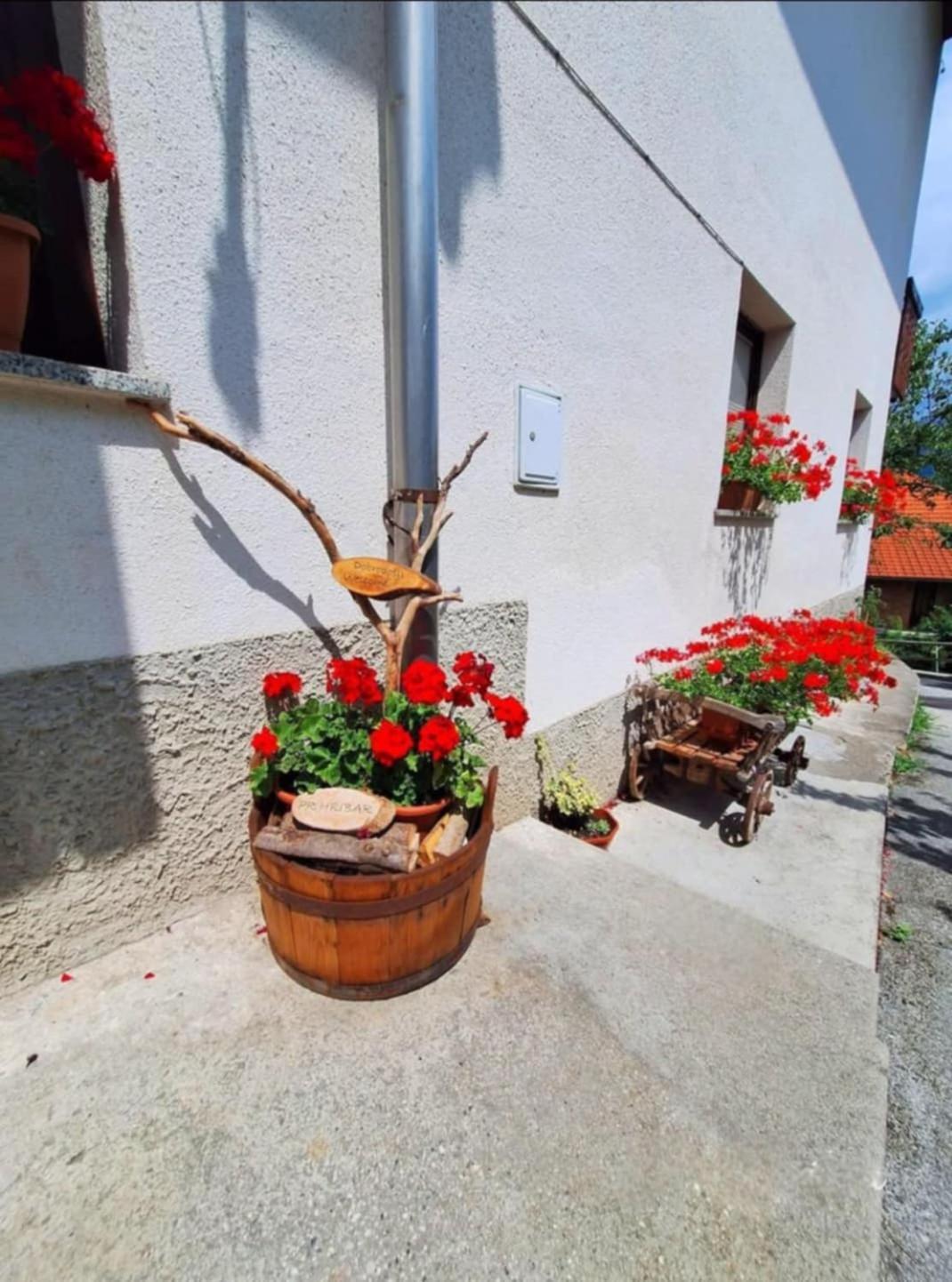 Pr' Hribar Apartment Zgornje Gorje Luaran gambar
