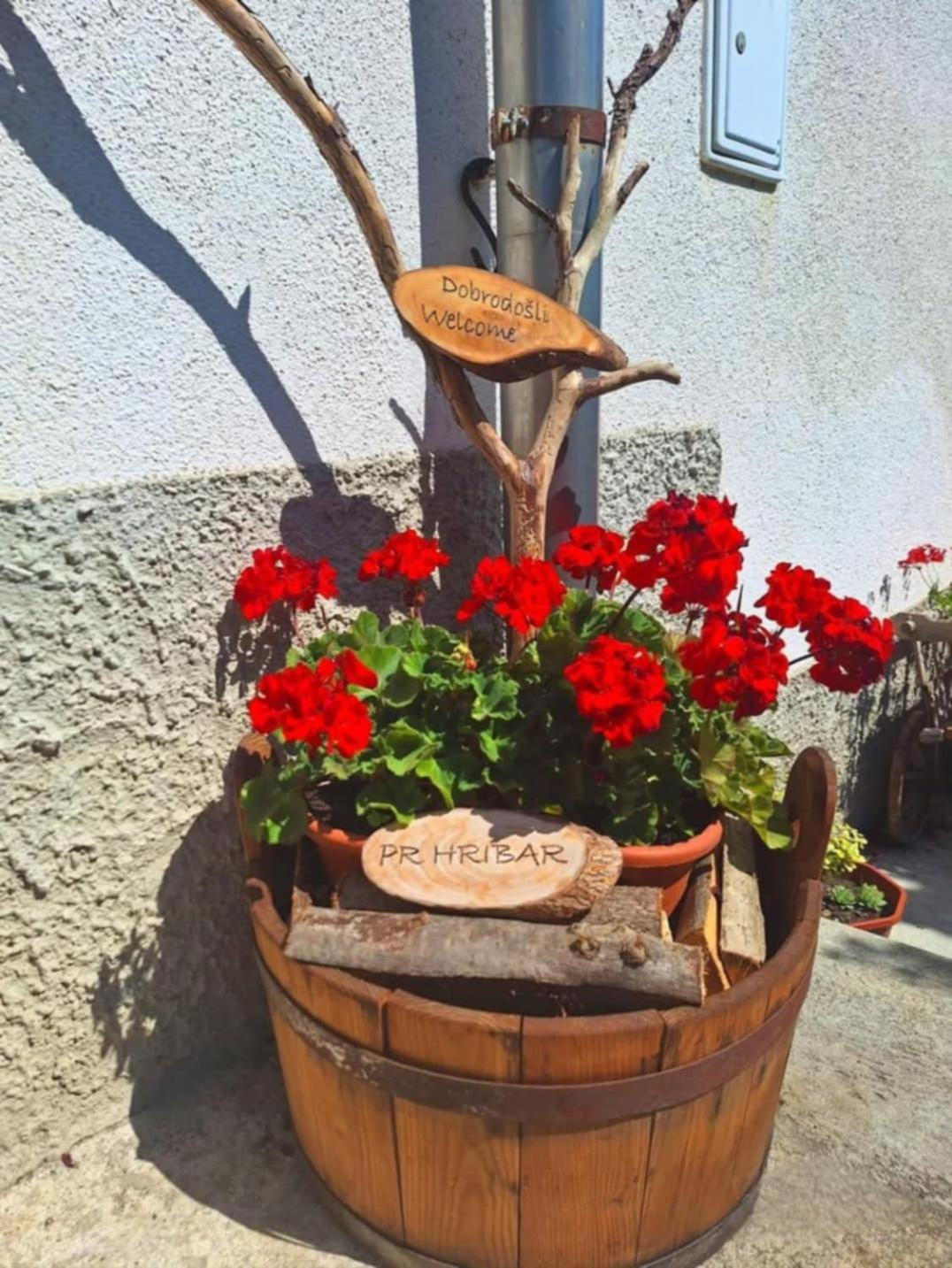 Pr' Hribar Apartment Zgornje Gorje Luaran gambar