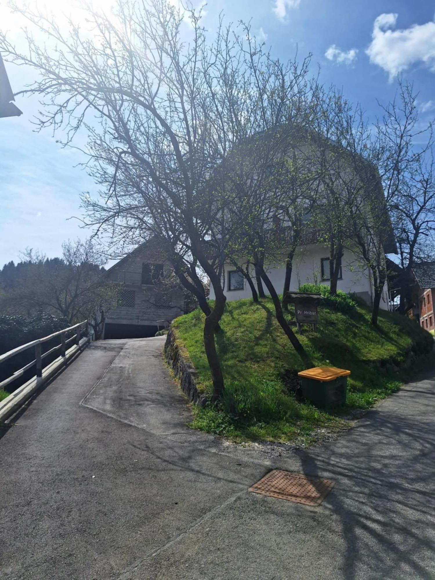 Pr' Hribar Apartment Zgornje Gorje Luaran gambar
