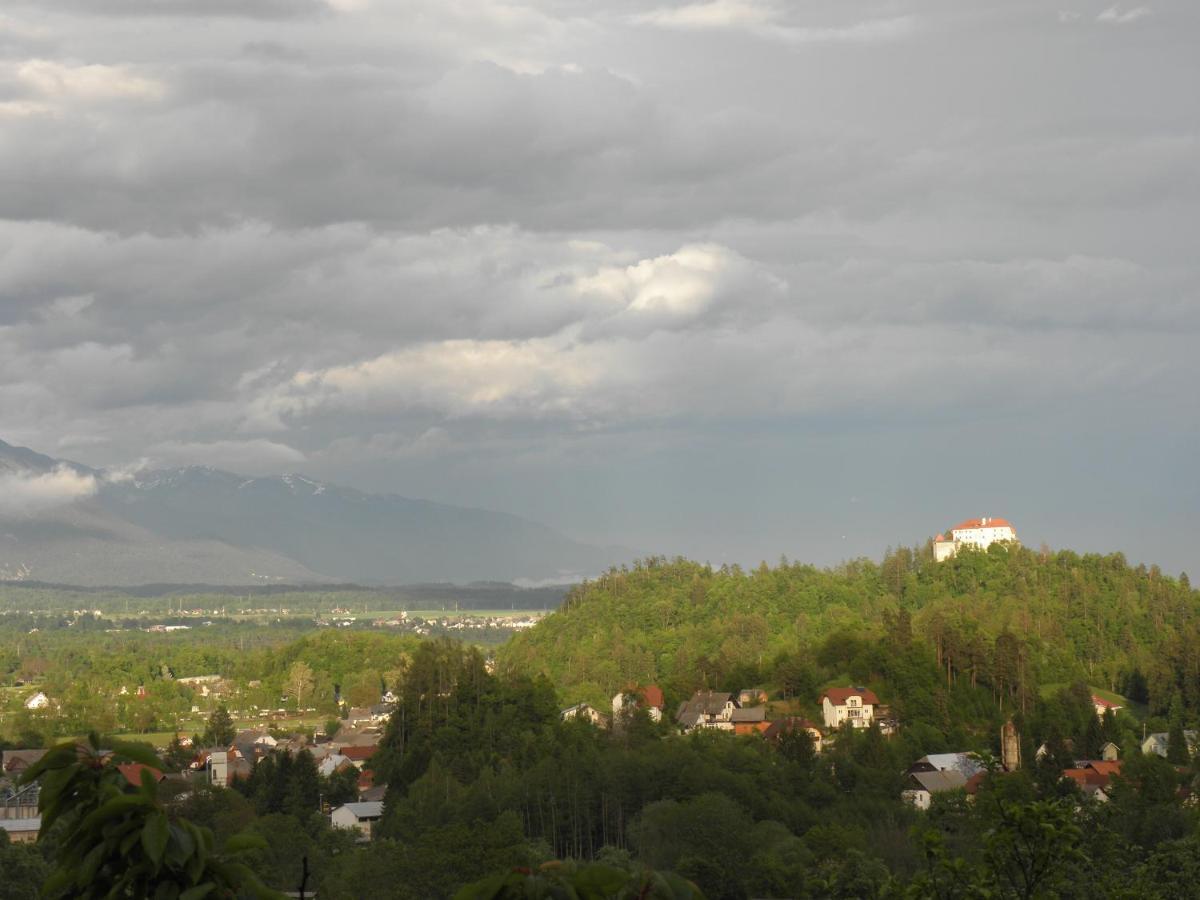 Pr' Hribar Apartment Zgornje Gorje Luaran gambar