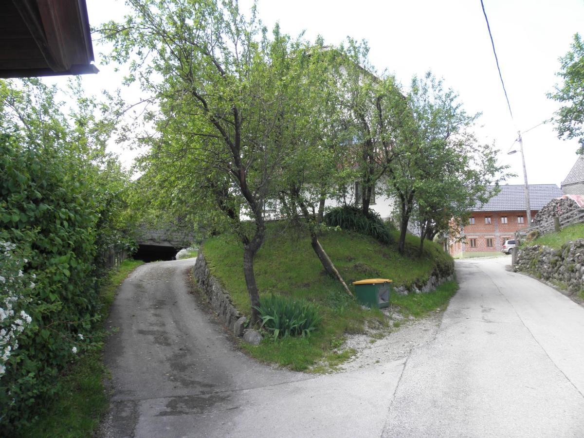 Pr' Hribar Apartment Zgornje Gorje Luaran gambar